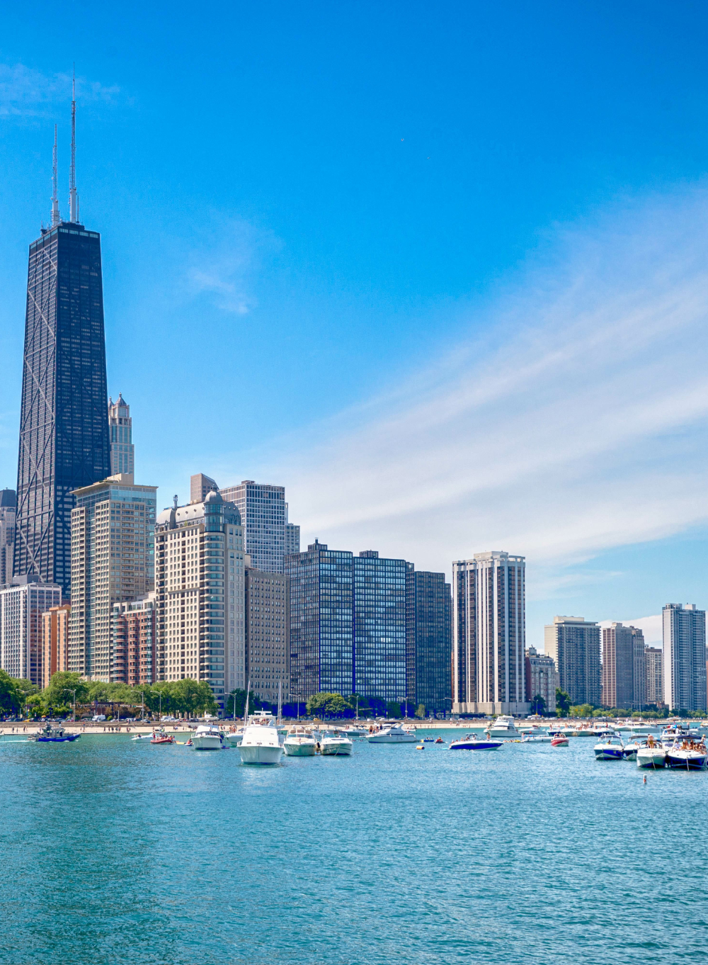 Downtown Chicago Skyline 