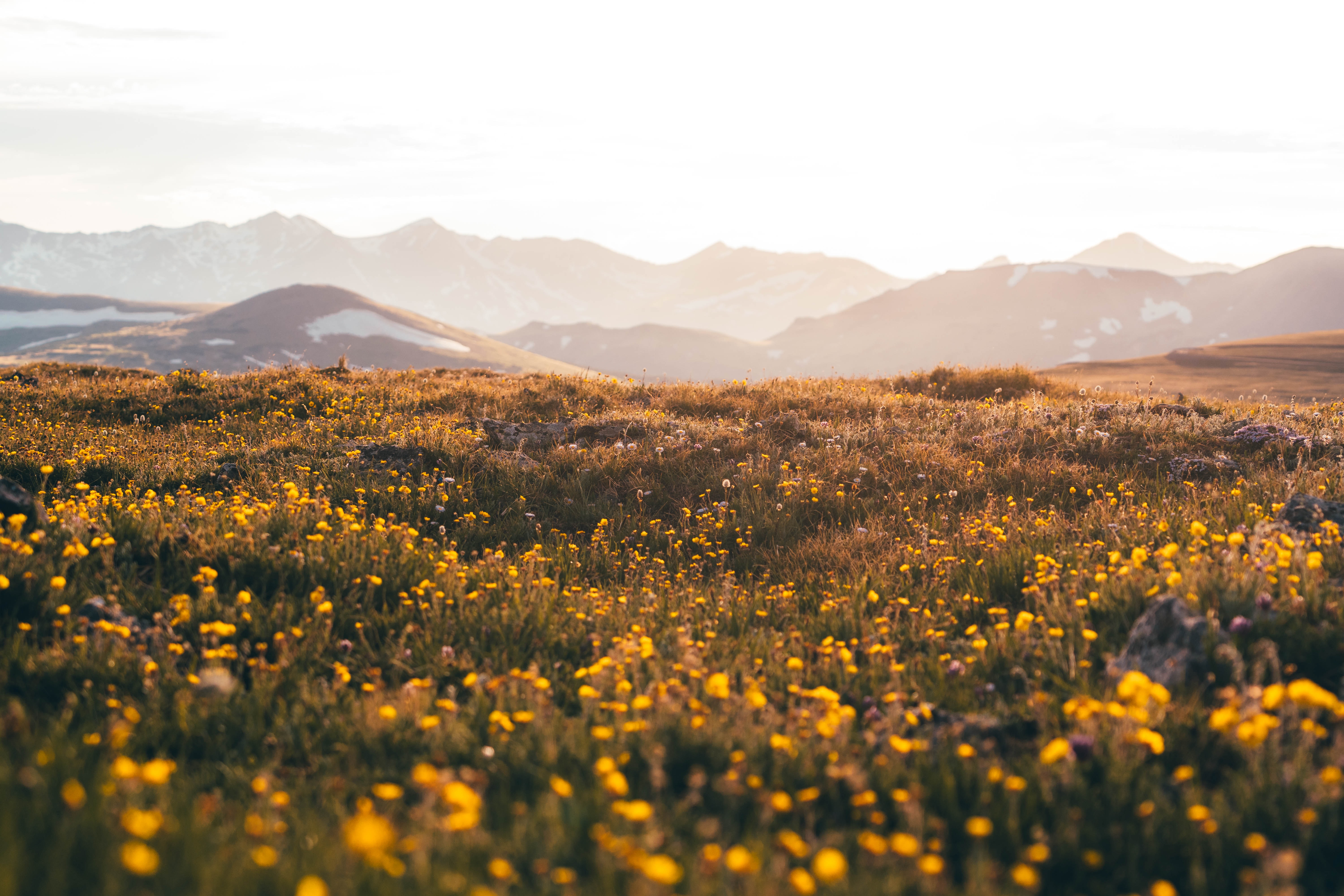 harold-wainwright-xMFCS3j7thU-unsplash