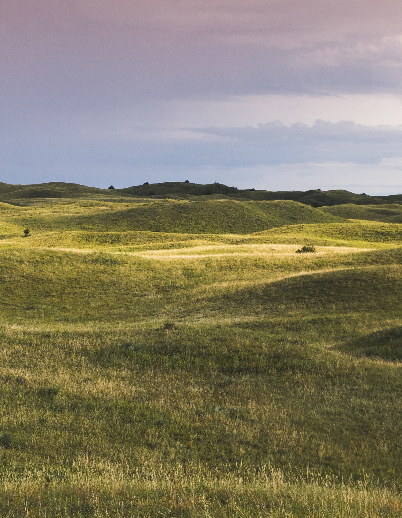 Nebraska_Web_Image_1