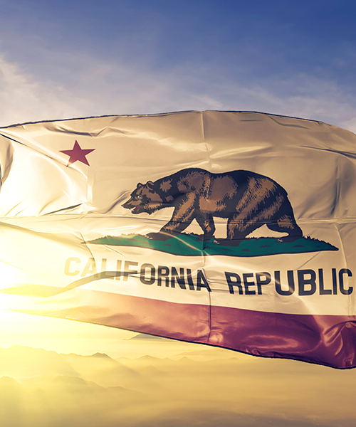 california-flag-waving-sq_254517288
