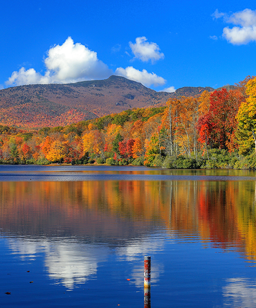 north-caroline-landscape-sq_166509640