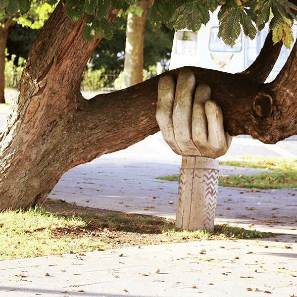 Stone hand supporting a tree to illustrate the strength of our support team.